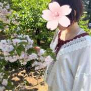 ヒメ日記 2026/04/19 09:24 投稿 ゆい 池袋しろパラ