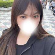 かれん 〜お知らせ〜 Ace(エース)