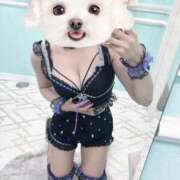 ヒメ日記 2026/03/01 21:01 投稿 藍染りこ ABC 岩手ソープ