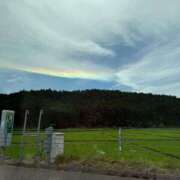 ヒメ日記 2026/02/17 19:42 投稿 こなつ セレブクエスト-omiya-