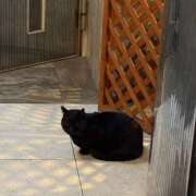 ヒメ日記 2026/03/07 10:33 投稿 城田あみか お姉さんCLUB