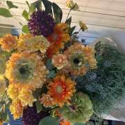 ヒメ日記 2026/02/26 15:11 投稿 せいら 成田人妻講座