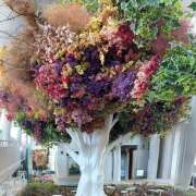 ヒメ日記 2026/03/05 14:57 投稿 せいら 成田人妻講座