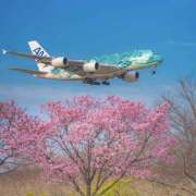 せいら また行きます 成田人妻講座