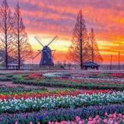 ヒメ日記 2026/04/05 18:53 投稿 せいら 成田人妻講座