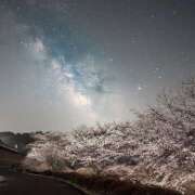 ヒメ日記 2026/04/12 20:57 投稿 せいら 成田人妻講座