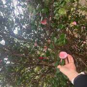 ヒメ日記 2026/04/13 06:08 投稿 せいら 成田人妻講座