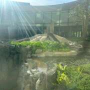 ヒメ日記 2026/04/21 16:07 投稿 せいら 成田人妻講座