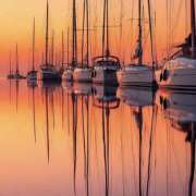 ヒメ日記 2026/04/21 17:53 投稿 せいら 成田人妻講座