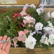 ヒメ日記 2026/04/23 14:56 投稿 せいら 成田人妻講座