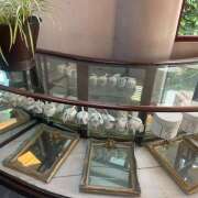 ヒメ日記 2026/04/26 13:50 投稿 せいら 成田人妻講座