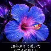 ヒメ日記 2026/08/11 17:11 投稿 せいら 成田人妻講座