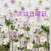 ヒメ日記 2026/08/20 14:58 投稿 せいら 成田人妻講座