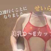 ヒメ日記 2026/09/21 09:18 投稿 せいら 成田人妻講座