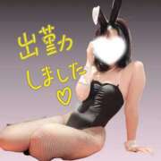ヒメ日記 2026/02/07 17:01 投稿 ウルナ【尽くすほどに、艶が増す】 ドＭなバニーちゃん小倉店