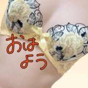 ヒメ日記 2026/02/08 06:00 投稿 ウルナ【尽くすほどに、艶が増す】 ドＭなバニーちゃん小倉店