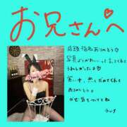 ヒメ日記 2026/02/08 10:23 投稿 ウルナ【尽くすほどに、艶が増す】 ドＭなバニーちゃん小倉店