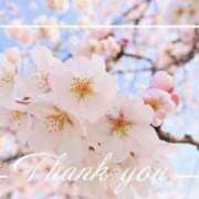 ヒメ日記 2026/04/11 22:17 投稿 はづき 脱がされたい人妻 宇都宮店