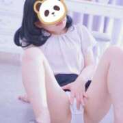 ヒメ日記 2026/04/11 08:47 投稿 りつこ 西船人妻花壇