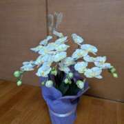 ヒメ日記 2026/02/04 06:54 投稿 きょうこさん 鶯谷のデリヘル桃山