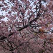 ヒメ日記 2026/02/18 06:47 投稿 きょうこさん 鶯谷のデリヘル桃山