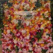 ヒメ日記 2026/02/24 07:17 投稿 きょうこさん 鶯谷のデリヘル桃山