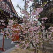 ヒメ日記 2026/02/25 06:48 投稿 きょうこさん 鶯谷のデリヘル桃山