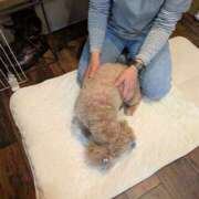 ヒメ日記 2026/03/18 07:02 投稿 きょうこさん 鶯谷のデリヘル桃山