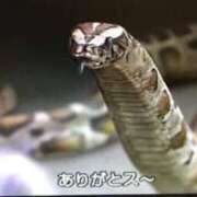 ヒメ日記 2026/02/07 11:01 投稿 りら 秋葉原コスプレ学園(AKG)