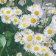 ヒメ日記 2026/02/19 19:42 投稿 ふゆ ギン妻パラダイス 堺東店