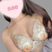 ヒメ日記 2026/04/01 17:16 投稿 さえ エマニエル秋葉原