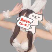 さえ 🐰 エマニエル秋葉原