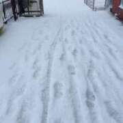 ヒメ日記 2026/02/08 10:03 投稿 にいな アクアマリン