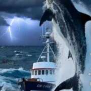 ヒメ日記 2026/04/04 22:30 投稿 立花れむ★内面の魅力に推し確定 PLAY