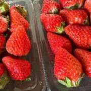 ヒメ日記 2026/02/24 15:19 投稿 滝クレア(月下美人) Luxury（鹿児島）