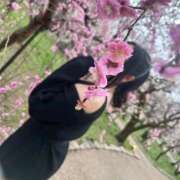 ヒメ日記 2026/02/27 12:16 投稿 ちあき 吉原ファーストレディ