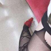 ヒメ日記 2026/03/06 00:06 投稿 ちあき 吉原ファーストレディ