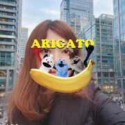 ヒメ日記 2026/03/30 02:29 投稿 にいな 東京妻