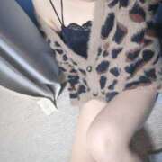 ヒメ日記 2026/03/26 12:40 投稿 セシル 八尾藤井寺羽曳野ちゃんこ