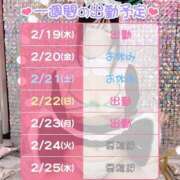 ヒメ日記 2026/02/19 08:09 投稿 ことり ハピネス＆ドリーム 松山道後温泉