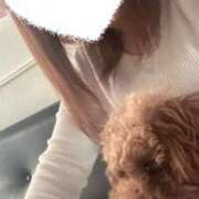 ヒメ日記 2026/02/12 02:00 投稿 安達　あんな【新妻】 isai～愛妻