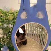 ヒメ日記 2026/02/06 00:04 投稿 虹羽うた ウルトラハピネス