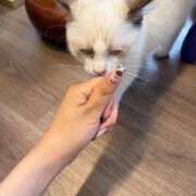 ヒメ日記 2026/07/09 09:12 投稿 サトミ 1ROUND
