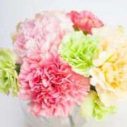 ヒメ日記 2026/02/07 11:49 投稿 木南花音(きなみかのん) 九州熟女　熊本店