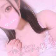 ヒメ日記 2026/02/09 09:05 投稿 あさ High Quality デリバリーヘルス Platinum Club