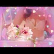 ヒメ日記 2026/02/11 10:43 投稿 堂本 みすず こあくまな熟女たち 鶯谷・日暮里店(KOAKUMAグループ)