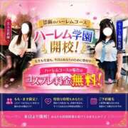 ヒメ日記 2026/06/19 17:28 投稿 もも 新潟市鳥屋野潟ちゃんこ