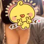 ヒメ日記 2026/08/05 21:56 投稿 もも 新潟市鳥屋野潟ちゃんこ