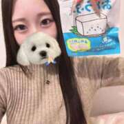 ヒメ日記 2026/04/07 16:27 投稿 彩 ホワイトベル