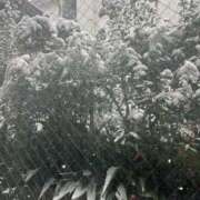 ヒメ日記 2026/02/08 08:55 投稿 なな 丸妻 池袋店